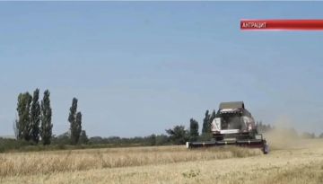 В Антрацитовском округе завершилась уборка ярового ячменя, семенной материал которого был передан в рамках гуманитарной помощи из региона-шефа Калмыкии