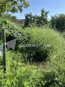 В Стаханове ЛНР уже несколько лет не могут устранить порыв на улице Мира