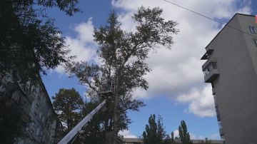 ������� ������������ �������� ��������� ���������� ������ �� ������� �������