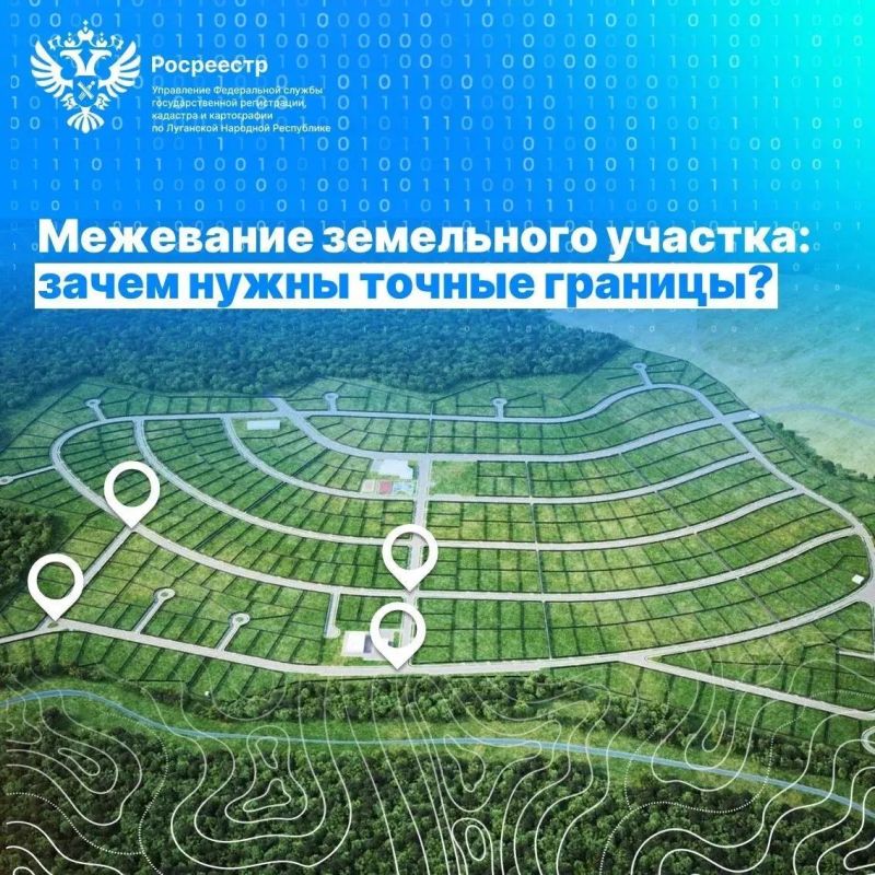 Зачем межевать участок и где это сделать в ЛНР