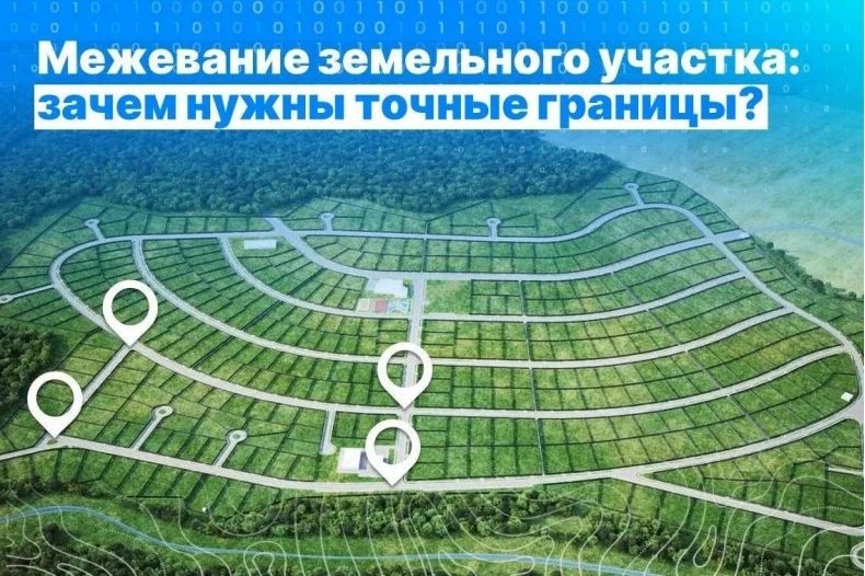 Росреестр ЛНР: Зачем нужно проводить межевание земельного участка?
