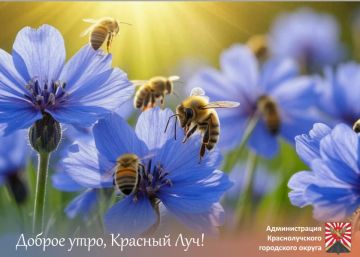 Доброе утро, краснолучане и гости города!