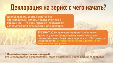 Почему производителям зерна важно декларировать свою продукцию?