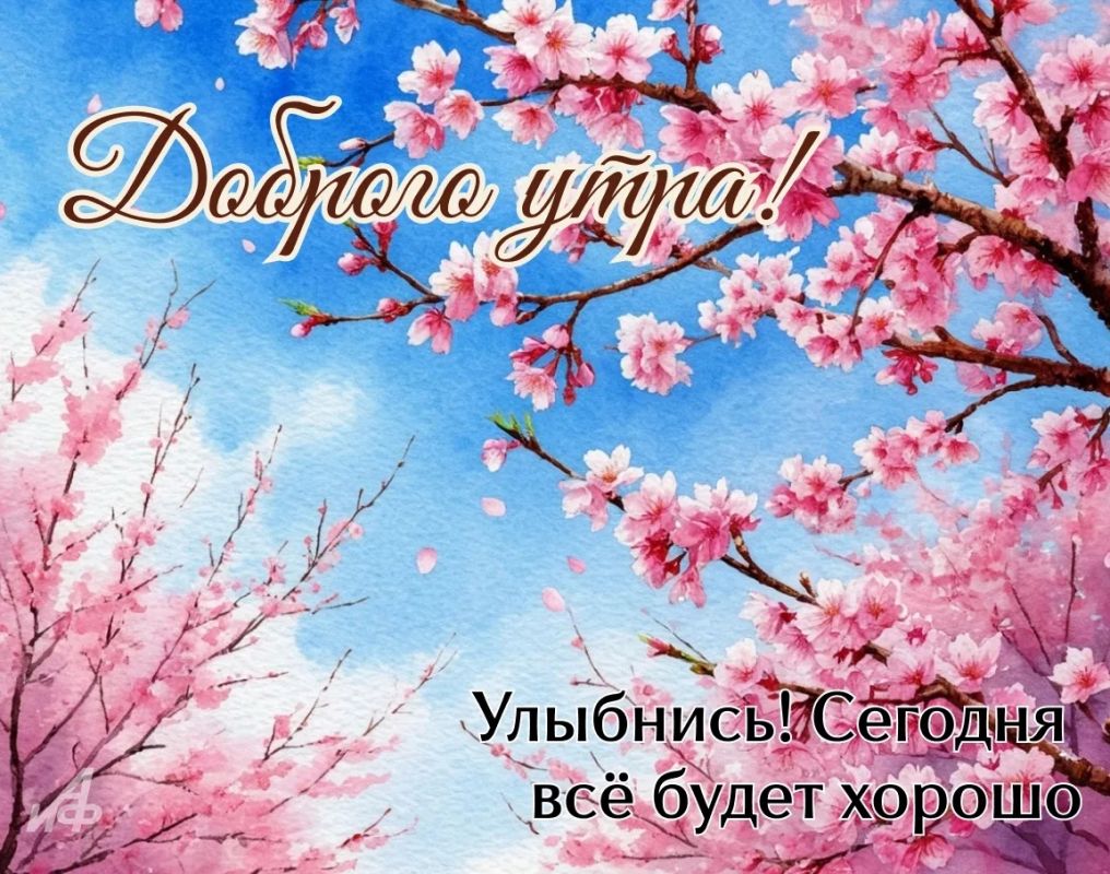 Сегодня Понедельник – 17 Августа