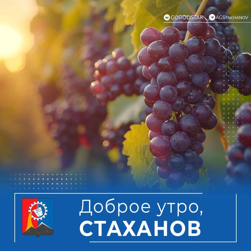 Доброе утро, родной город!