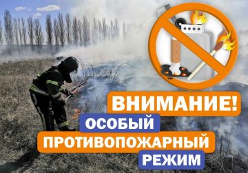 Особый противопожарный режим в ЛНР — 2026: главные правила и ответственность