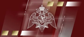 5 единиц оружия и боеприпасы к нему изъяли росгвардейцы за прошедшую неделю в ЛНР