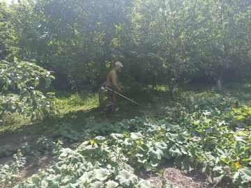 В рамках акции «Добрые дела», отделом по обеспечению жизнедеятельности пгт Комиссаровка была организована работа по оказанию помощи в благоустройстве придомовой территории одиноко проживающей матери участника СВО Алле...