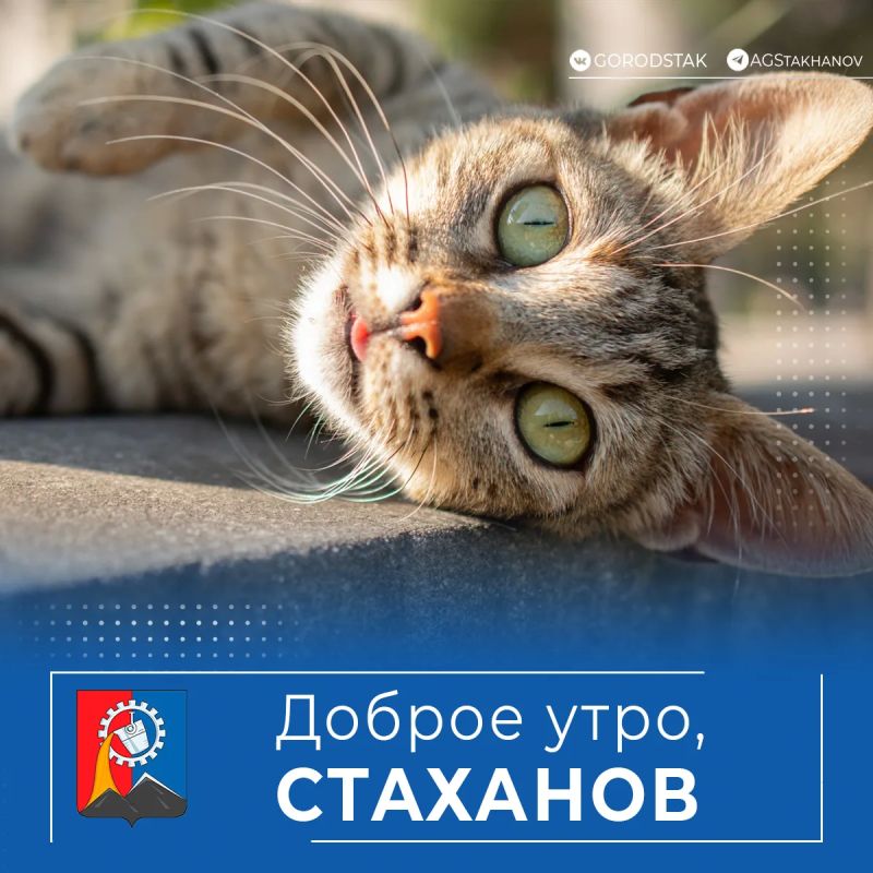 Доброе утро, город!. Сегодня погода балует нас мягким, ласковым теплом