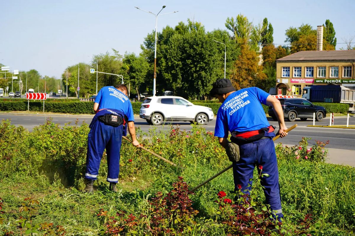 Добрые дела объединяют. В Луганске продолжается совместная работа по наведению порядка на городских территориях Добрые дела объединяют. В Луганске продолжается совместная работа по наведению порядка на городских территориях