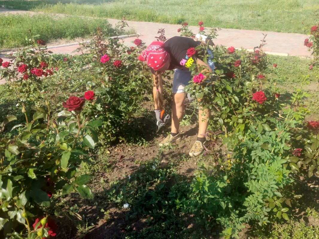Благоустройство общественных пространств остается одной из ключевых задач в нашем муниципалитете, и в этом процессе активно участвуют как коммунальные службы, так и горожане Благоустройство общественных пространств остается одной из ключевых задач в нашем муниципалитете, и в этом процессе активно участвуют как коммунальные службы, так и горожане
