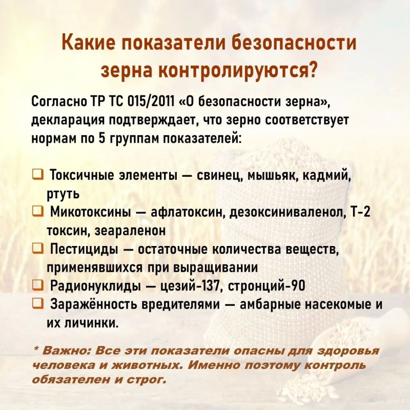 Почему производителям зерна важно декларировать свою продукцию? Почему производителям зерна важно декларировать свою продукцию?