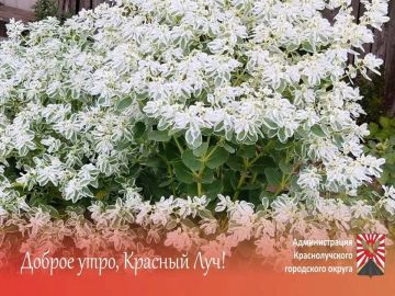 Доброе утро, краснолучане и гости города!