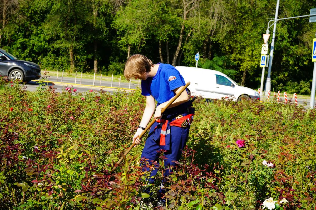 Добрые дела объединяют. В Луганске продолжается совместная работа по наведению порядка на городских территориях