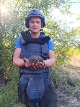 Луганские спасатели вызволили ёжика из огня на Юбилейном