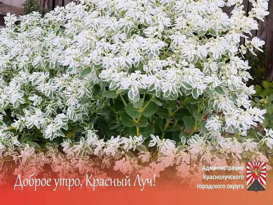 Доброе утро, краснолучане и гости города!