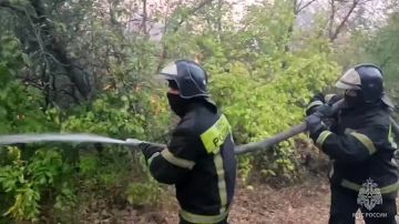 Свыше 65 гектаров территории выгорело в Республике за сутки