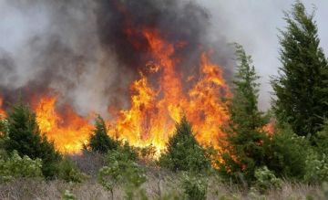 В ЛНР объявили чрезвычайную пожароопасность