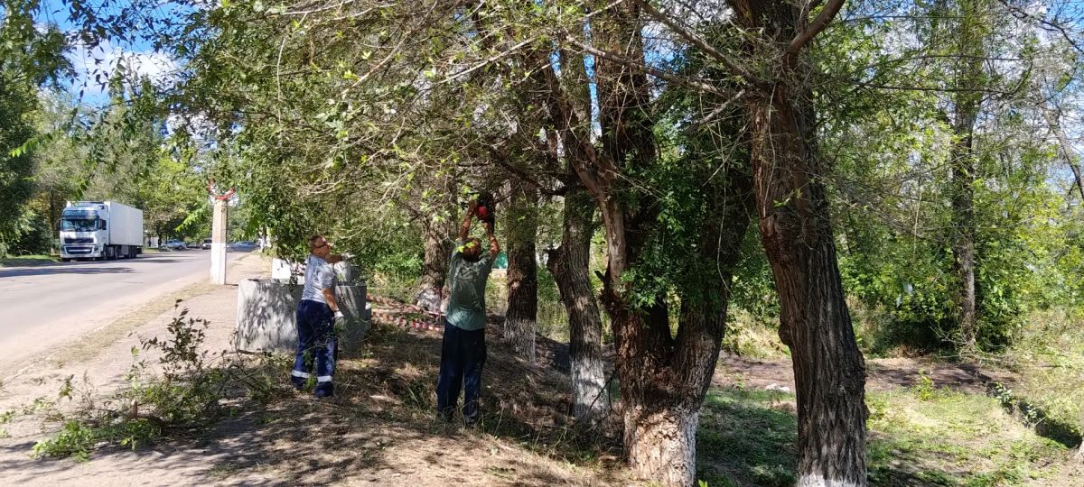 В Молодогвардейске продолжаются работы по покосу травы В Молодогвардейске продолжаются работы по покосу травы