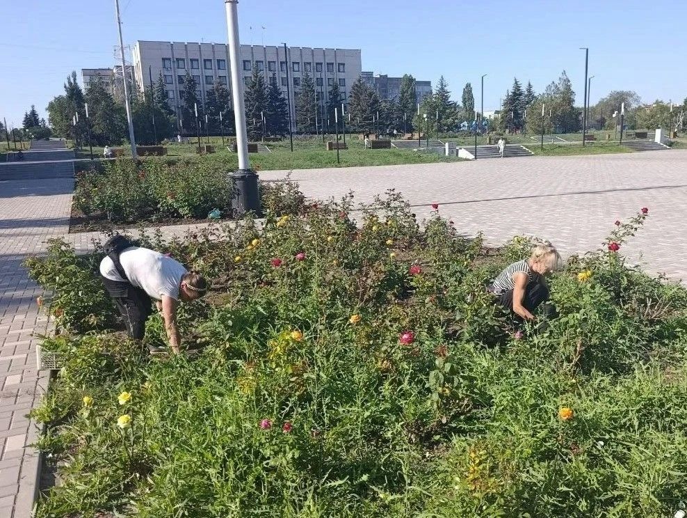 Коммунальными службами проведены работы на территории города Коммунальными службами проведены работы на территории города