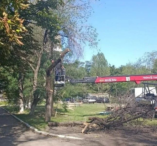 Коммунальными службами проведены работы на территории города Коммунальными службами проведены работы на территории города