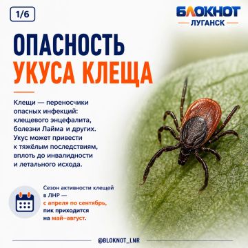 ��� ������, ���� ������ ����: ���������� ��� ������� ���