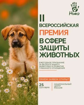 Вторая Всероссийская премия ответственного отношения к животным