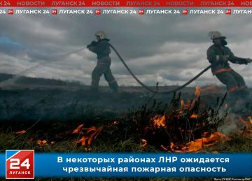 В некоторых районах ЛНР ожидается чрезвычайная пожарная опасность (5 класс)