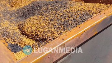 Благоустройство сквера на улице Щетинина в Брянке близится к завершению