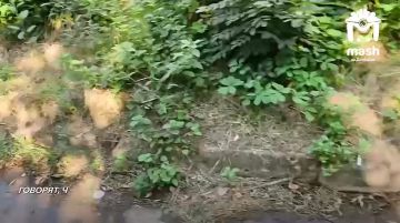������� ����� ������ ���� �� �������� � �������� ����� ��� ����