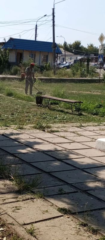 Покос травы — одно из основных сезонных мероприятий Покос травы — одно из основных сезонных мероприятий