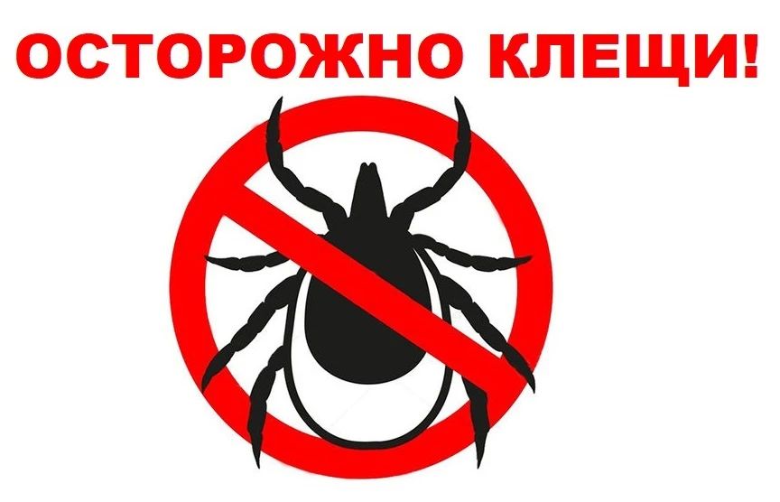 Осторожно клещи!. С началом походов в лес и на рыбалку начинается и пора активизации клещей – переносчиков клещевого энцефалита, болезни Лайма, лихорадки КУ и других недугов