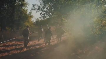 � ���������� ���������� ���������� ���� II ������������� ������������ ����� ����� � ����� ������ ���� ������, ��������� ����� 200 ��������� �� ������ ������� ������