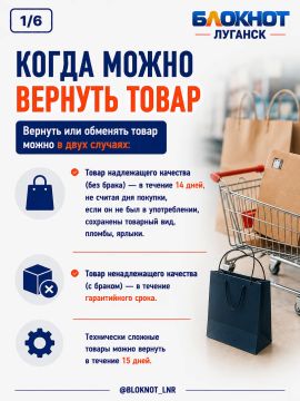 Что делать, если магазин не принимает возврат: инструкция для жителей ЛНР