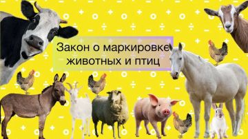 Важная информация для владельцев животных от «ГБУ ЛНР СББЖ г. Краснодона и Краснодонского района»!