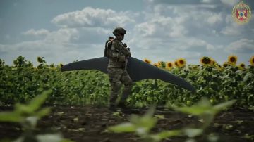 Внесите свой вклад в будущее страны