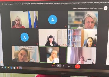 Инна Швенк: Судебная защита прав детей: итоги окружного совещания в ЮФО