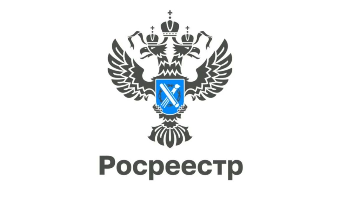 Росреестр ЛНР разъяснил, как установить забор без нарушений закона