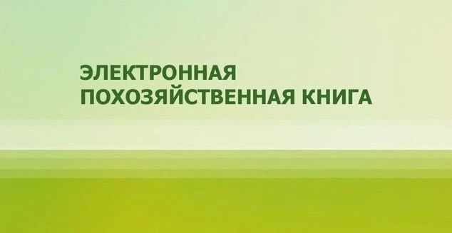 Вниманию граждан!. . Администрация городского округа муниципальное образование городской округ город Алчевск Луганской Народной Республики (далее – Администрация городского округа) информирует о вступлении в силу с 1 января...