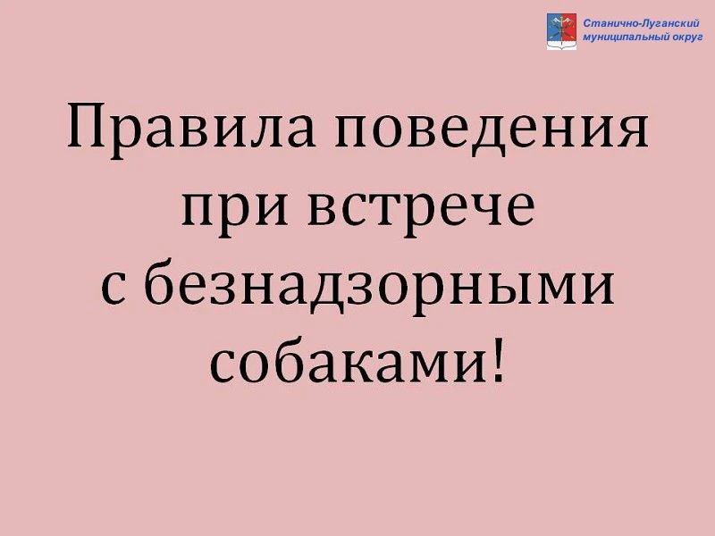 ПАМЯТКА О ПОРЯДКЕ ДЕЙСТВИЙ ПРИ ОБНАРУЖЕНИИ БЕЗНАДЗОРНЫХ ЖИВОТНЫХ