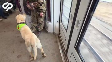 ���������� ��������� �� ��������� �������