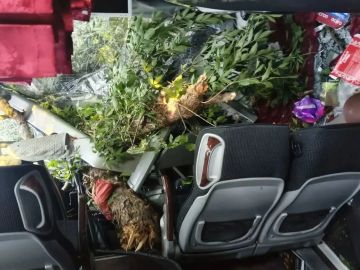 Семь человек пострадали в ДТП с автобусом «Москва — Донецк» в Ровеньках