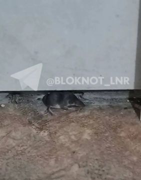 ����� ������������ �������� � ����� �� ������� �������� ���