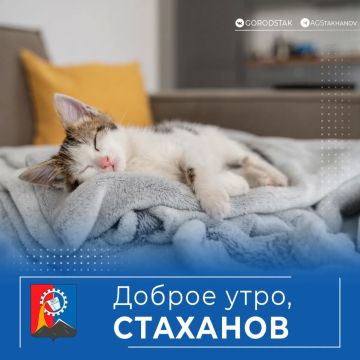 ������ ����, ������������!