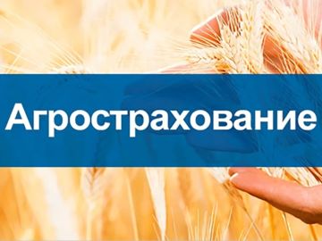 Приглашаем на онлайнконференцию