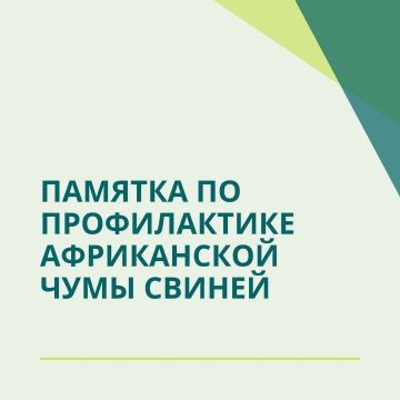 Государственное бюджетное учреждение Луганской Народной Республики «Станция по борьбе с болезнями животных Новоайдарского района» предоставляет памятку по профилактике Африканской чумы свиней