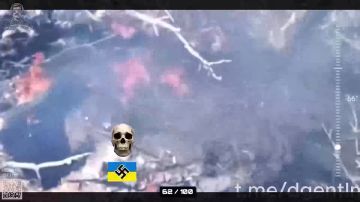 ���������� �������� ������! ��������� ������� | �AX | RuTube