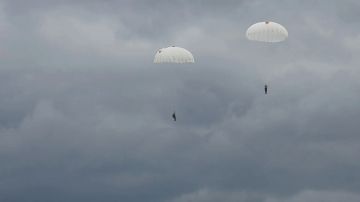 Луганские школьники покорили небо: воспитанники международной смены совершили прыжки с парашютом