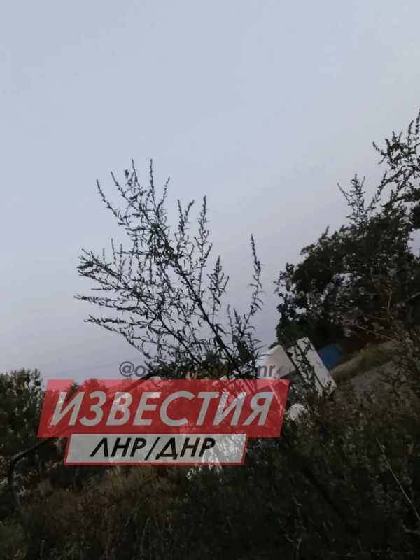 Двор в Лисичанске — как из хоррора: амброзия выше пояса, окна выбиты, канализация течёт Двор в Лисичанске — как из хоррора: амброзия выше пояса, окна выбиты, канализация течёт
