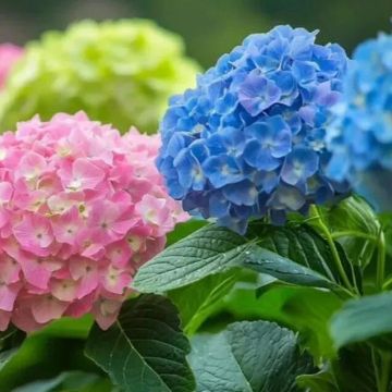 С добрым утром, дорогие жители Новопсковского муниципального округа!